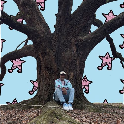 255 cover art
