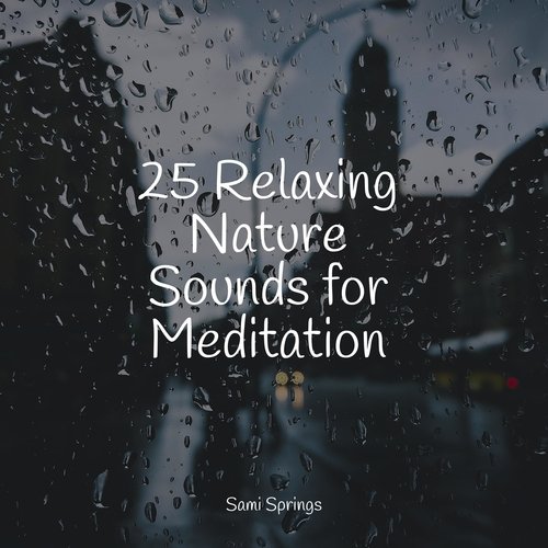 25 Relaxing Nature Sounds for Meditation_poster_image