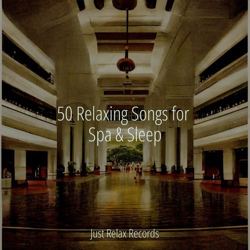 50 Relaxing Songs for Spa & Sleep