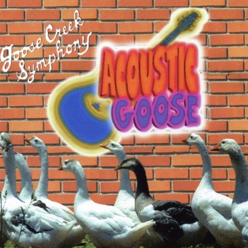 Acoustic Goose