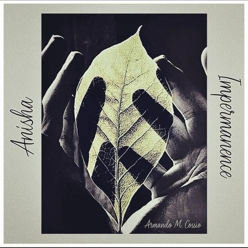 Anisha (Impermanence) cover art