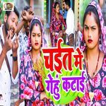 Chait Me Gehu Katai