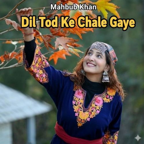 Dil Tod Ke Chale Gaye