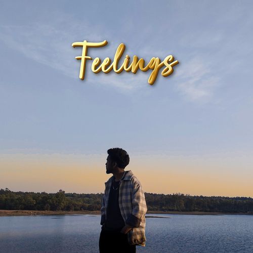 Feelings