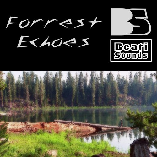 Forrest Echoes