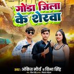 Gonda Jila Ke Sherwa