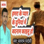 Humra Ke Pyar Ke Duniya Me Badnam Kailu Ho