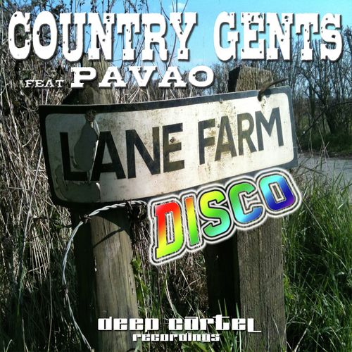 Lane Farm Disco feat. Pavao (Steve Littlemen Dub)