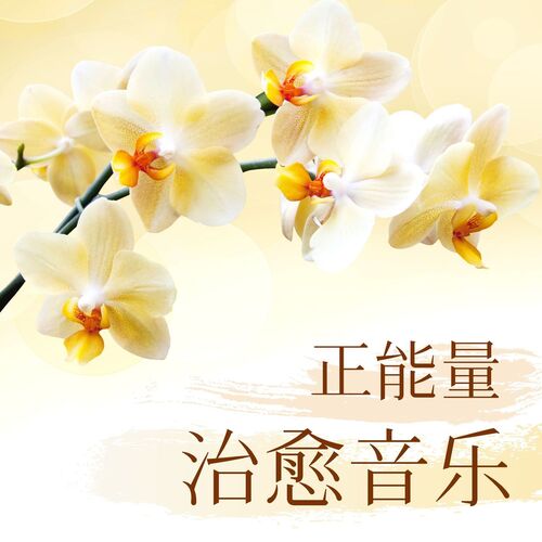 疗愈音乐 cover art