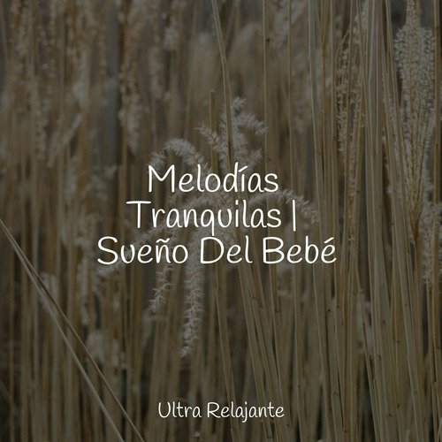 Melodías Tranquilas | Sueño Del Bebé_poster_image