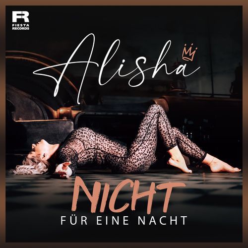 Nicht für eine Nacht_poster_image