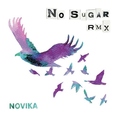 No Sugar RMX_poster_image