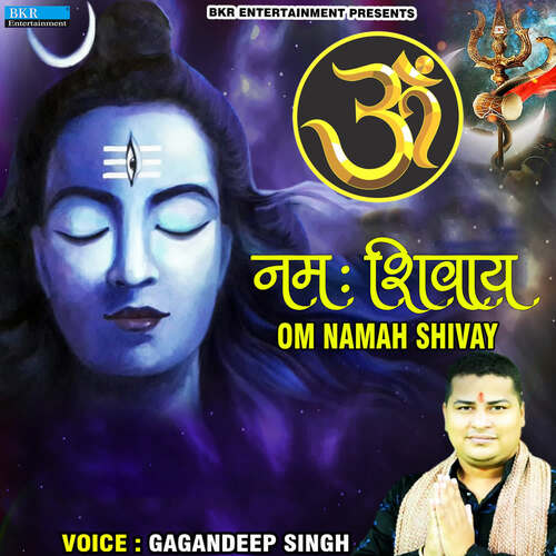 Om Namah Shivay