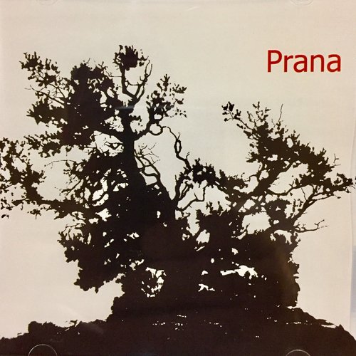 Prana