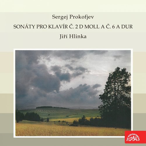 Piano Sonata No. 2 in D Minor, Op. 14: IV. Vivace