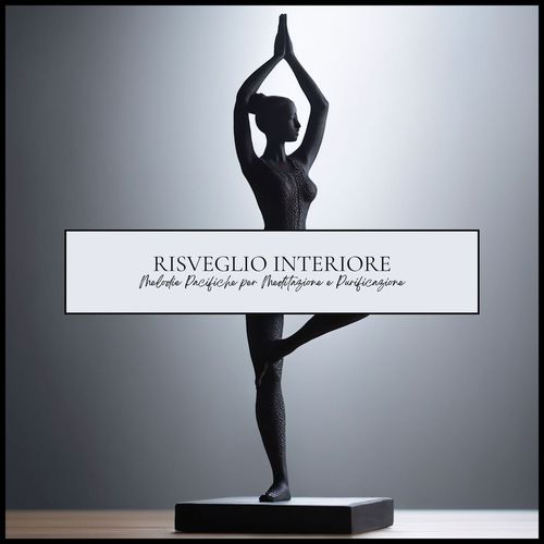 Meditazione cover art