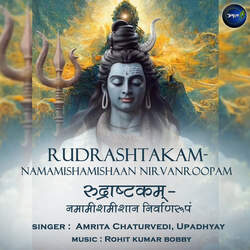 Rudrashtakam-Namamishamishaan Nirvanroopam-QVozR0BcbVc