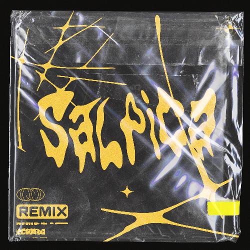 Salpica (Lamebot Remix)