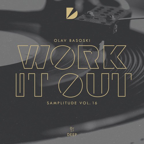 Samplitude Vol. 16 - Work It Out_poster_image