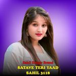 Satave Teri Yaad Sahil 3118