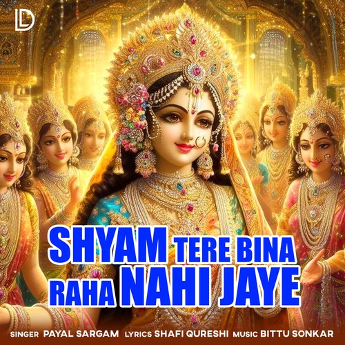 Shyam Tere Bina Raha Nahi Jaye