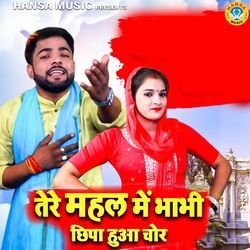Tere Mehal Mai Bhabhi Chipa Hua Chor