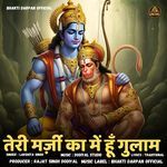 Teri Marzi Ka Me Hu Gulam