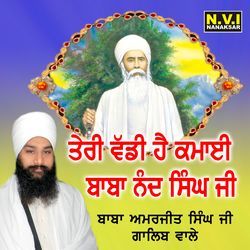 Teri Wadi Hai Kamai Baba Nand Singh Ji