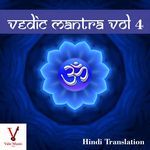 Satya Na Dharia Prithvi artwork