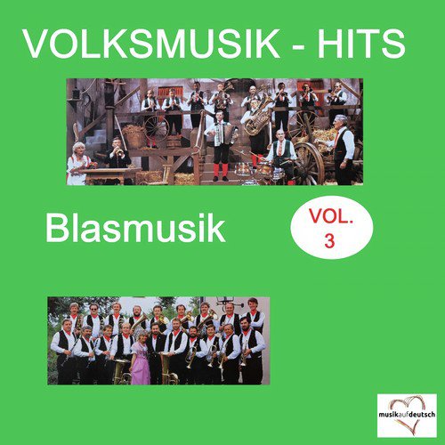 Volksmusik-Hits: Blasmusik, Vol. 3