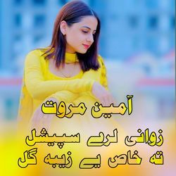 Zwani lare special ta khas ye zebagull-FgksY0JbGl8