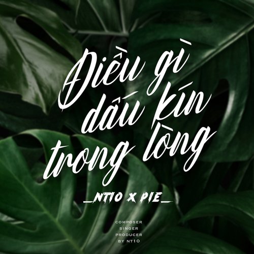 Điều Gì Dấu Kín Trong Lòng_poster_image