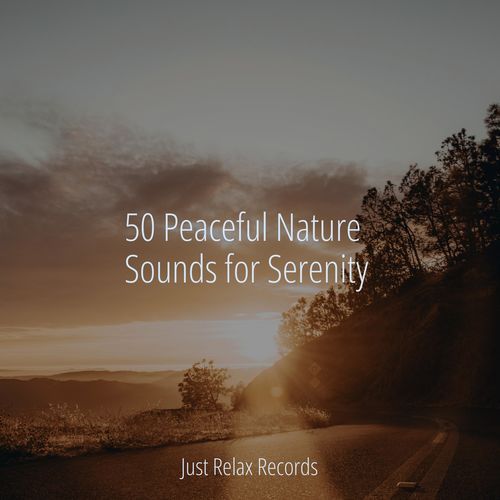 50 Peaceful Nature Sounds for Serenity