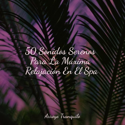 Refugio De Tranquilidad cover art