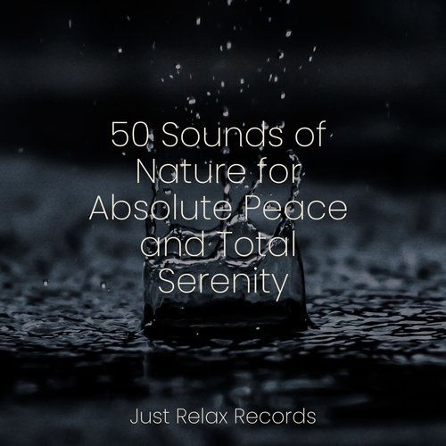 50 Sounds of Nature for Absolute Peace and Total Serenity