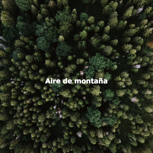 Understated Bossa Nova - Vibe for Work and Tea cover art