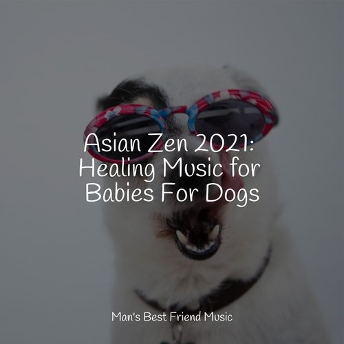 Asian Zen 2021: Healing Music for Babies For Dogs_poster_image