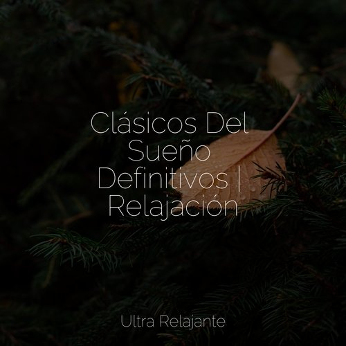 Paz Y Luz