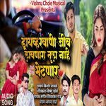 Drivervani JivLavanara Tula Nahi Bhetanar