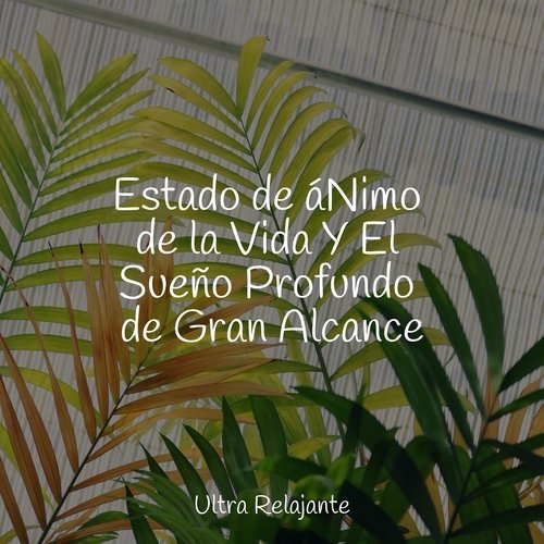 Estado de áNimo de la Vida Y El Sueño Profundo de Gran Alcance