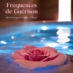 Méditation de Guérison des Chakras artwork