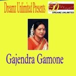Gajendra Gamone