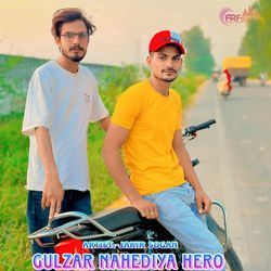 Gulzar Nahediya Hero-NC00Ay1pGl0