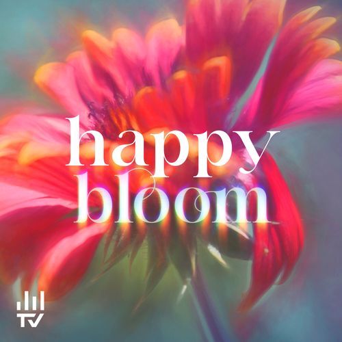 Happy Bloom
