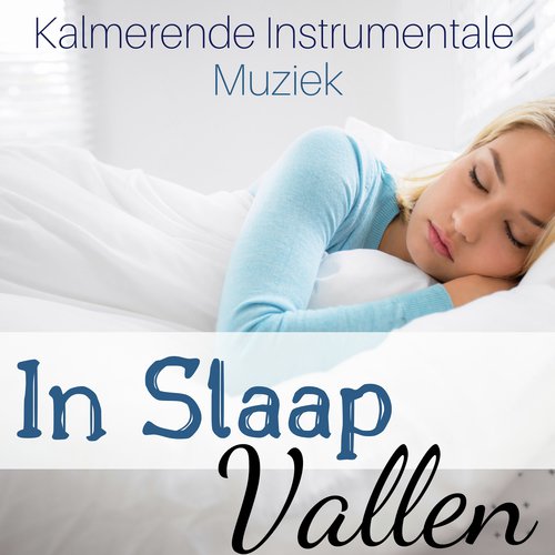 Zonnegroet cover art