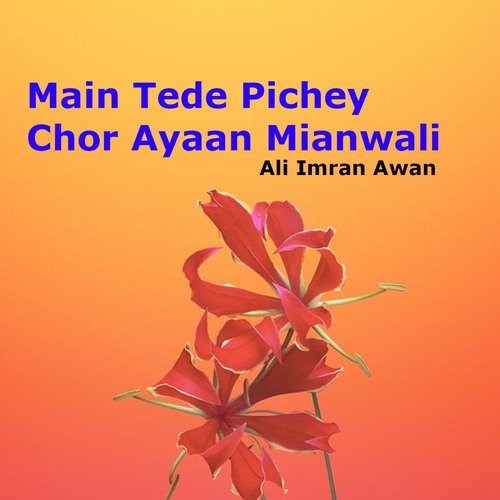 Main Tede Pichey Chor Ayaan Mianwali