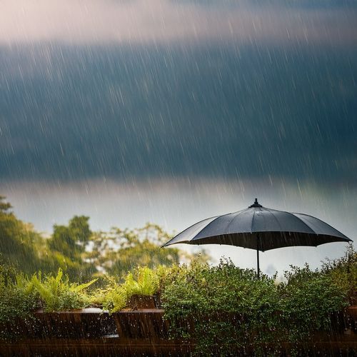 Music For The Space Between Rainclouds And Rising Mist