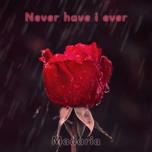 Never have i ever