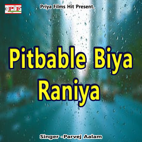 Pitbable Biya Raniya