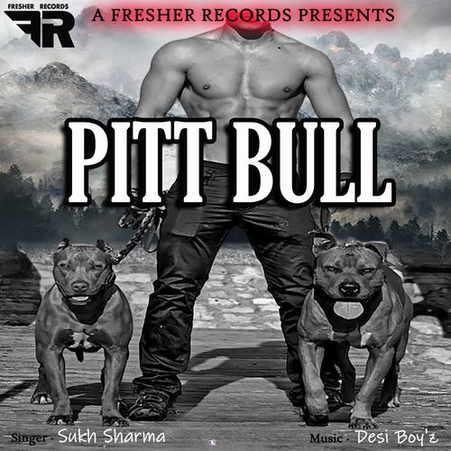 Pitt Bull